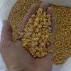 кукуруза фуражная в Балашихе