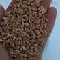 пшеница в Подольск