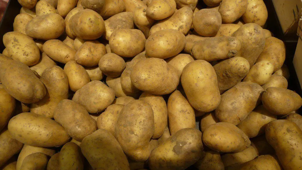 ред скарлетт картофель в Москве и Московской области