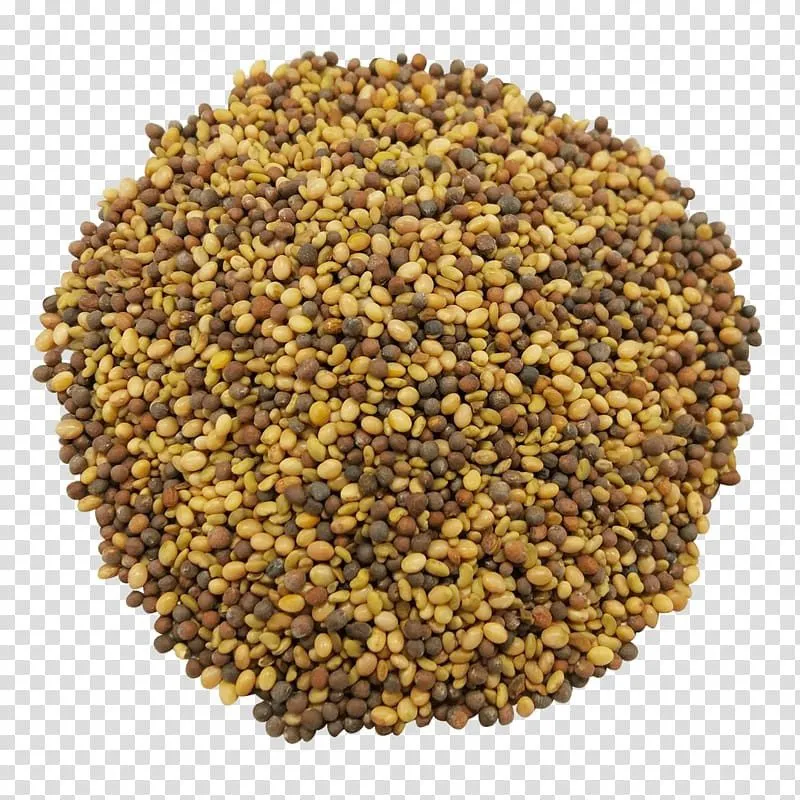 фотография продукта Семена люцерны