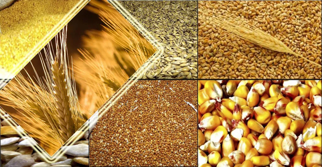 фотография продукта Комбикорм, сено, зерно, отруби 