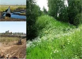 травосмеси для рекультивации земель в Москве и Московской области