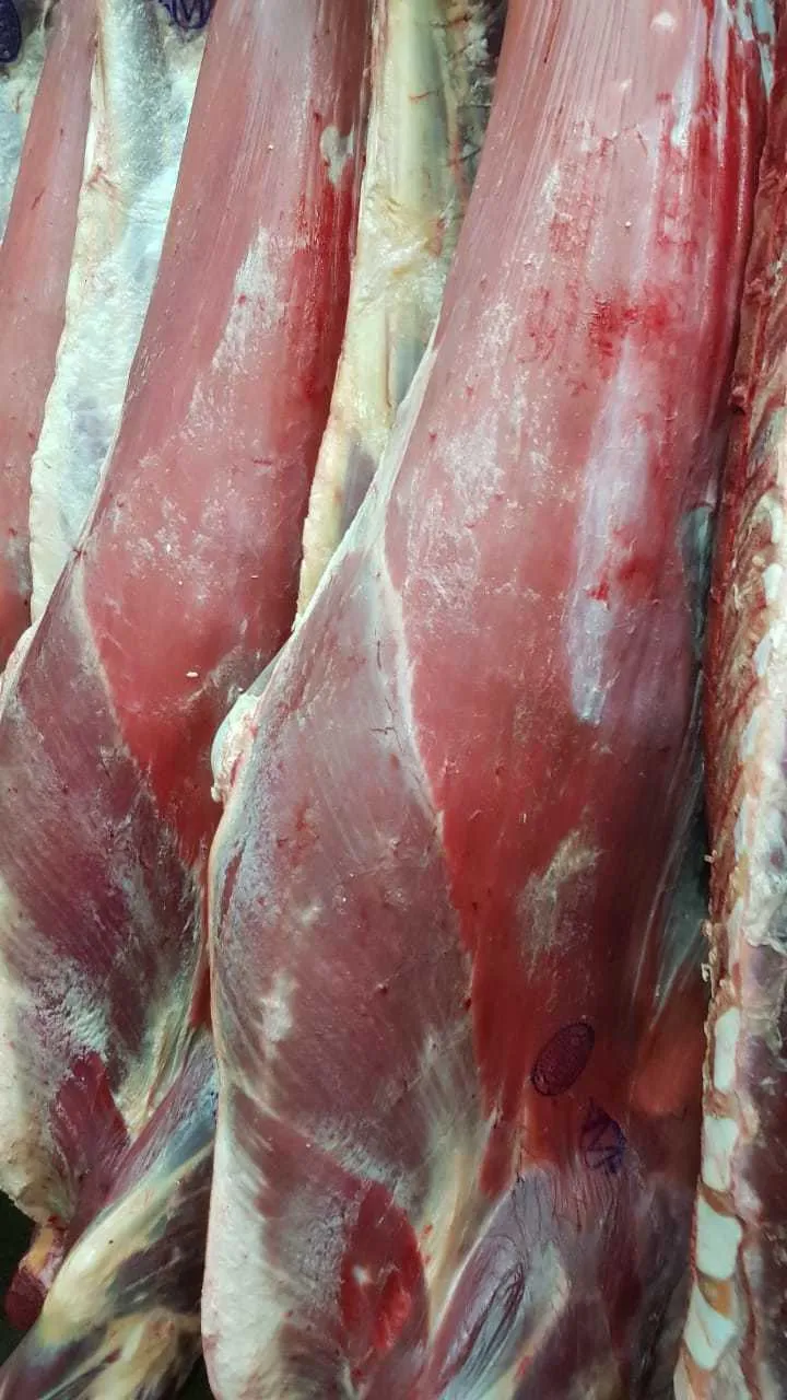фотография продукта Мясо быка на кости полутуши 335 руб