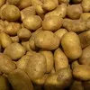 ред скарлетт картофель в Москве и Московской области