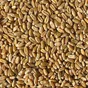 пшеница фуражная  в Балашихе