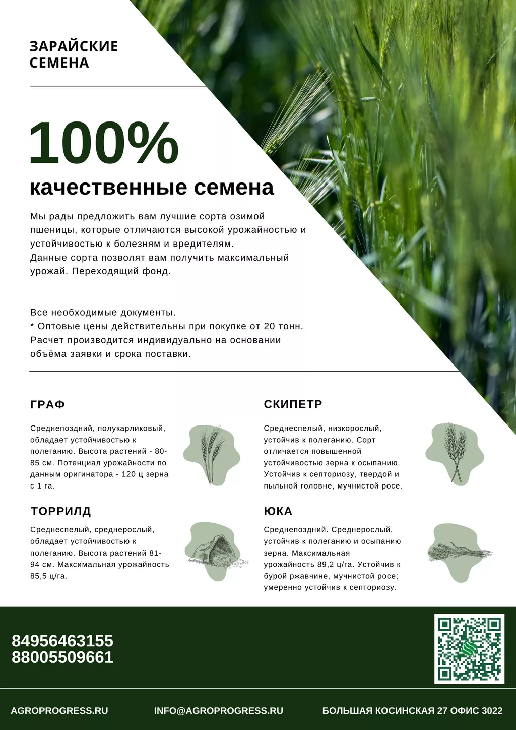 семена озимой пшеницы переходящего фонда в Москве и Московской области